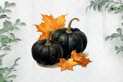 Black Pumpkins Sublimation Clipart Product Image 1