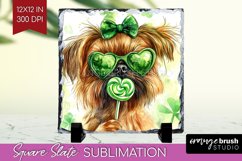 Brussels Griffon St. Patricks Day Dog Slate PNG Dog Square Product Image 1