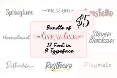 FONTBUNDLE OF LOVE Product Image 1