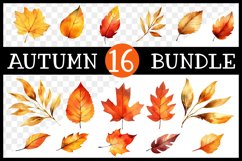16 Autumn Leaves Sublimation I Watercolour Autumn Leaves Product Image 1
