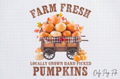 Farm fresh locally grown hand picked pumpkins Product Image 2