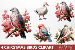 Chirstmas Birds Clipart PNG Product Image 1