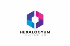 Hexagon Colorful Flat Logo Product Image 1