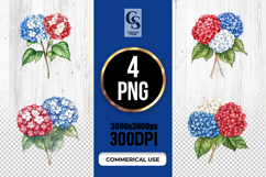 Patriotic Hydrangea Clipart PNG Product Image 1