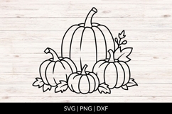 Hand Drawn Fall Pumpkins SVG Product Image 1