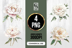 White Peony Flower Clipart Sublimation PNG Product Image 1