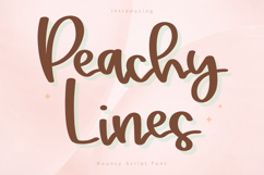 Peachy Lines - Bouncy Script Font Product Image 1