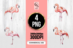 Watercolor Flamingo Bird Clipart Sublimation PNG Product Image 1