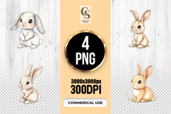 Cute Baby Bunny Clipart Sublimation PNG Product Image 1