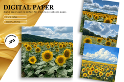 Sunflower Background Wallpaper Digital Paper Wall Art Product Image 1