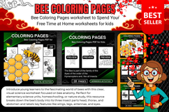 Bee Coloring Pages PDF Worksheets Activities for Kids tools Product Image 1