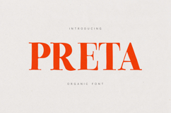 Preta Editorial Serif Font Family Product Image 1