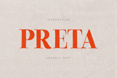 Preta Organic Serif Font Product Image 1