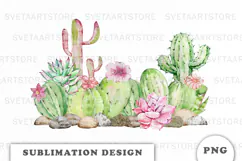 Watercolor Cactus and Succulents PNG Product Image 1