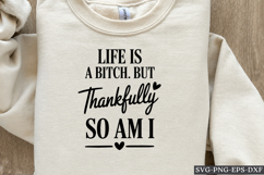 Sarcastic Quotes SVG PNG Product Image 1