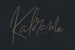Kalorama Script Elegant Signature Handwritten Font Product Image 1
