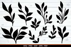 Leaves SVG Designs, Branches SVG, Leaf Silhouette SVG Product Image 1