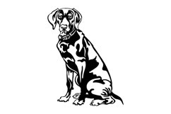 Weimaraner dog/Dog Svg/Png/Jpg/Ai/Vector purebred breed/Pet Product Image 2