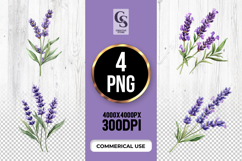Lavender Flower Clipart Sublimation PNG Product Image 1