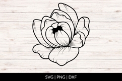 Hand Drawn Botanical Peony SVG Product Image 1