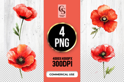 Red Poppy Flower Clipart Sublimation PNG Product Image 1