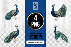 Watercolor Peacock Illustration Clipart Sublimation PNG Product Image 1