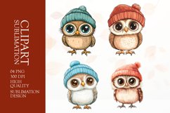 Watercolor owl clipart sublimation png Product Image 1