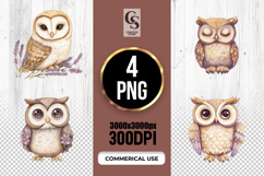 Cute Owl Watercolor Clipart Sublimation PNG Product Image 1