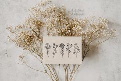 Wildflower svg, floral svg, leaf and stem cut files Product Image 4