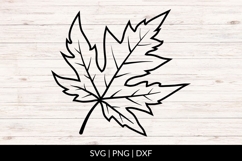Maple Autumn Leaf Illustration SVG Product Image 1