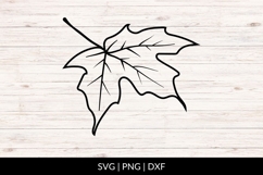 Hand Drawn Maple Leaf SVG Product Image 1