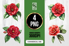 Red Camellia Flower Sublimation Clipart PNG Product Image 1