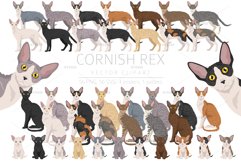 Cornish Rex clipart Product Image 1