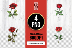 Single Red Rose Botanical Clipart Sublimation PNG Product Image 1
