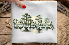 Louisiana PNG, Vintage State Pride Sublimation Design Product Image 1
