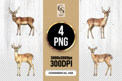Watercolor Fallow Deer Clipart Sublimation PNG Product Image 1