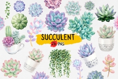Watercolor Succulent Clipart PNG Product Image 1