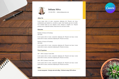 12 Clean Simple Resume CV - Canva Product Image 1