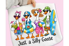 Funny Summer Goose PNG, Silly Goose PNG, Summer Goose PNG Product Image 2