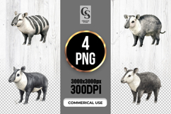 Watercolor Tapir Animal Clipart Sublimation PNG Product Image 1