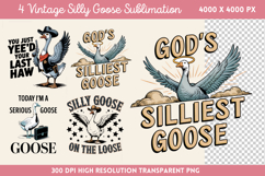 Vintage Silly Goose Sublimation PNG Product Image 1