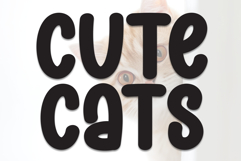 Cute Cats Product Image 1