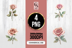 Vintage Blush Rose Watercolor Clipart Sublimation PNG Product Image 1