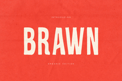 Brawn Organic Condensed Display Font Product Image 1