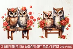 Couple Owl Valentines Day Clipart, Couple Owl Clipart Product Image 1