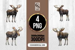 Moose Illustration Clipart Sublimation PNG Product Image 1