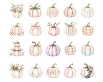 Pastel Pumpkins Clipart, 30 PNG Fall Pumpkin Product Image 2