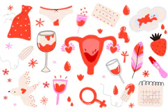 Menstrual Cycle & Women's Health Clipart Period Product Image 1