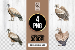 Watercolor Vulture Clipart Sublimation PNG Product Image 1