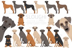 Sloughi clipart Product Image 1